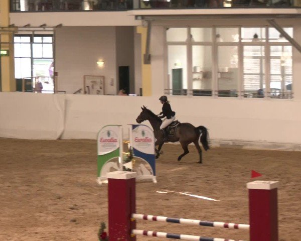 Reitturnier Stadl-Paura 2024