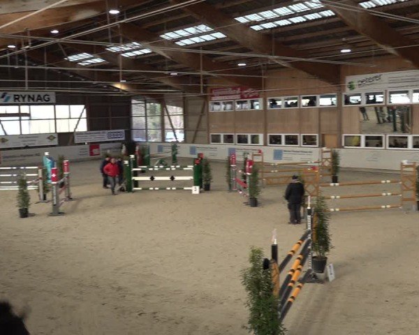 Reitturnier Henau 2024