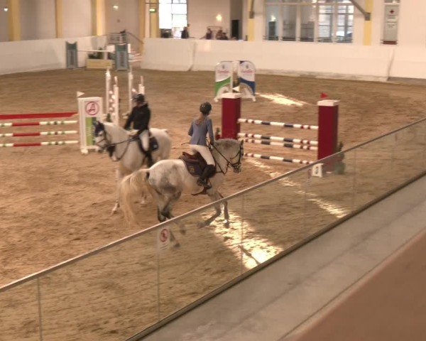Reitturnier Stadl-Paura 2024