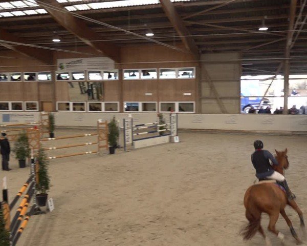 Reitturnier Henau 2024