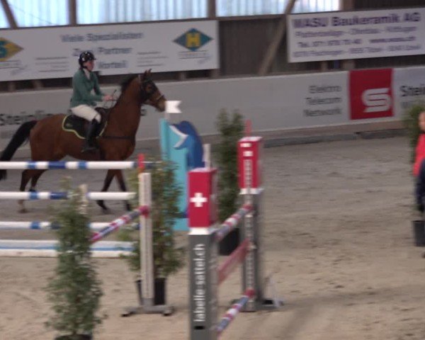 Reitturnier Henau 2024