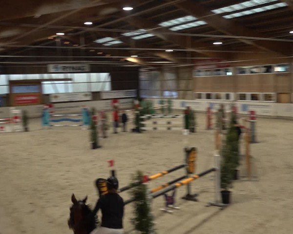 Reitturnier Henau 2024