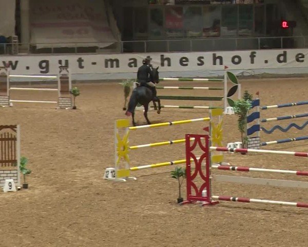 Reitturnier Kreuth/Opf. 2024