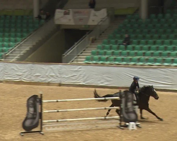 Reitturnier Kreuth/Opf. 2024