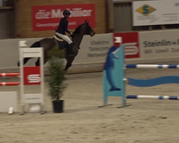 Reitturnier Henau 2024