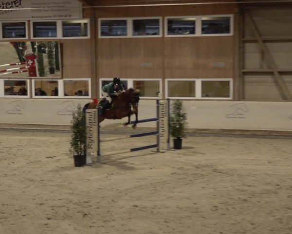 Reitturnier Henau 2024