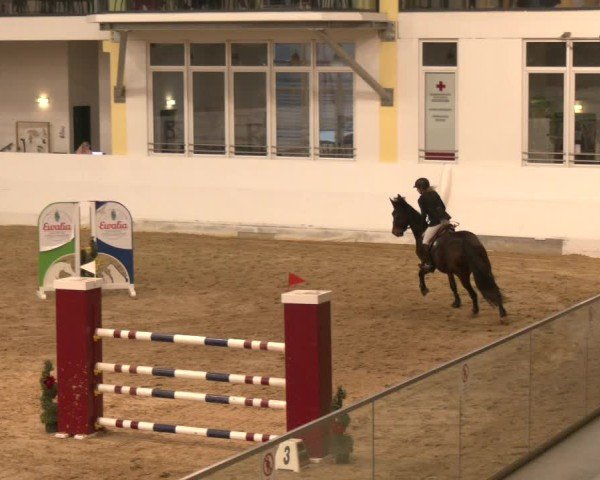 Reitturnier Stadl-Paura 2024