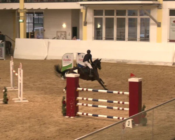 Reitturnier Stadl-Paura 2024