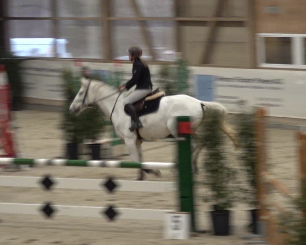 Reitturnier Henau 2024