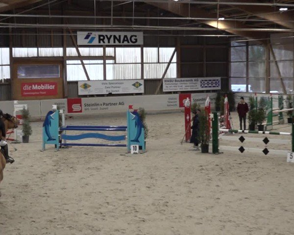 Reitturnier Henau 2024