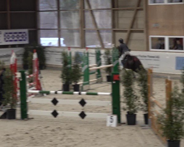 Reitturnier Henau 2024