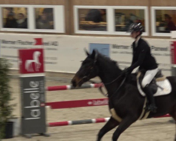Reitturnier Henau 2024