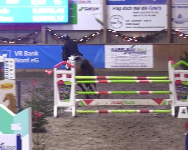 Reitturnier Leck 2024