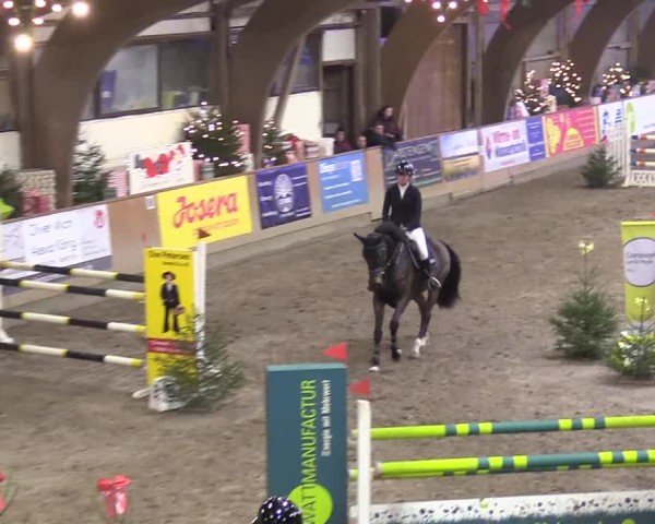 Reitturnier Leck 2024