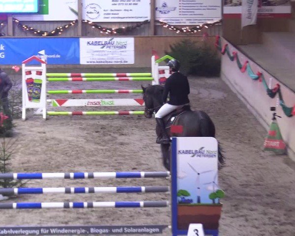 Reitturnier Leck 2024