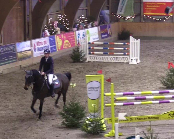 Reitturnier Leck 2024