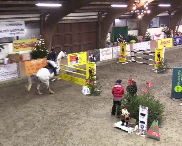 Reitturnier Leck 2024