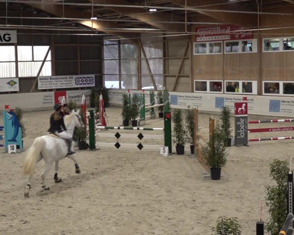 Reitturnier Henau 2024