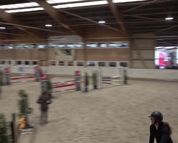 Reitturnier Henau 2024