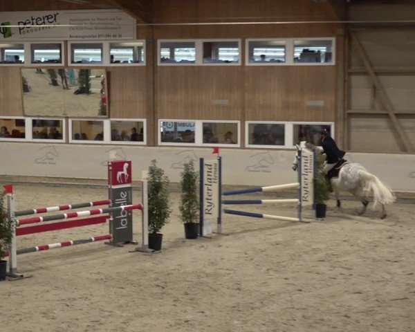 Reitturnier Henau 2024