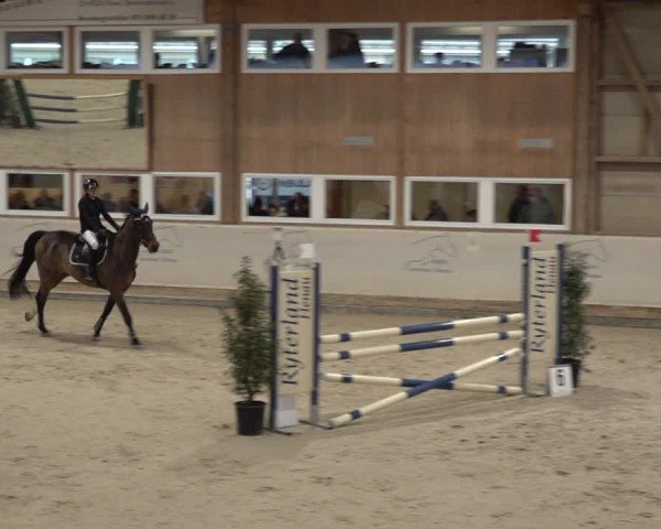 Reitturnier Henau 2024