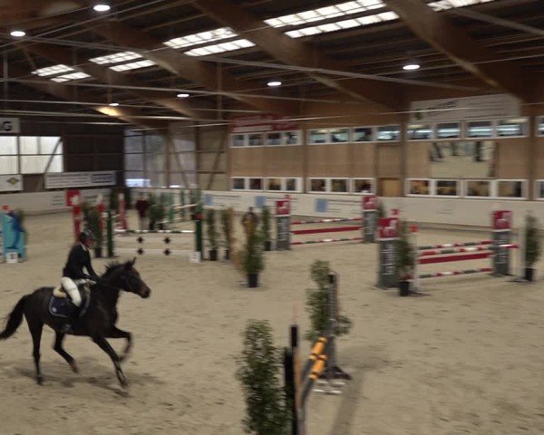 Reitturnier Henau 2024