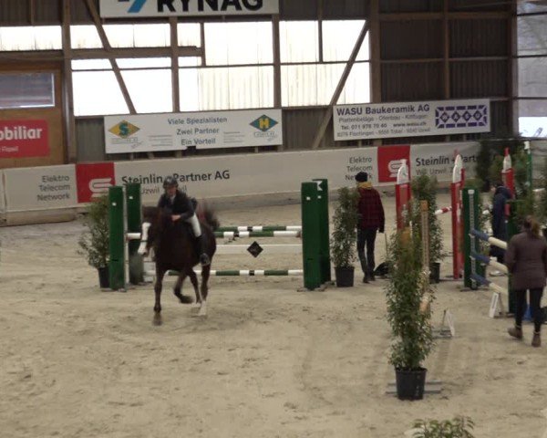 Reitturnier Henau 2024