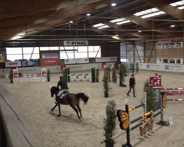 Reitturnier Henau 2024