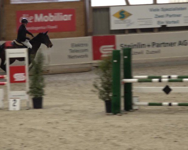 Reitturnier Henau 2024