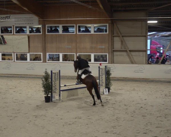 Reitturnier Henau 2024