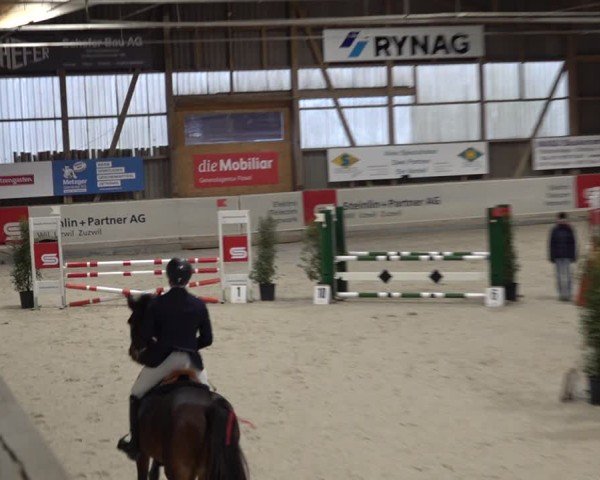 Reitturnier Henau 2024