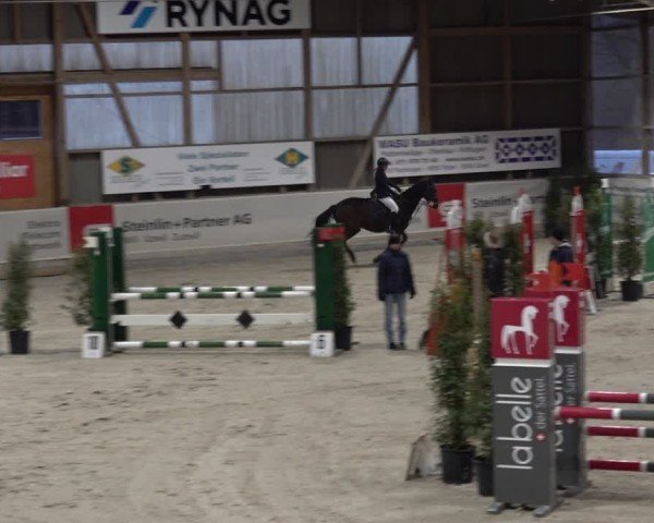 Reitturnier Henau 2024