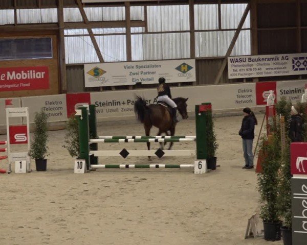 Reitturnier Henau 2024