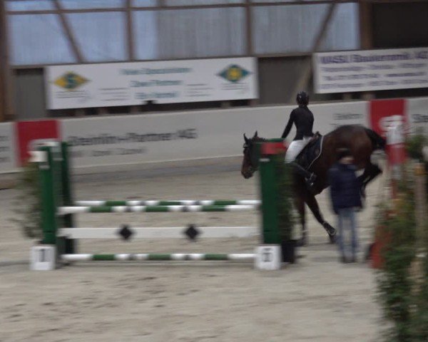 Reitturnier Henau 2024