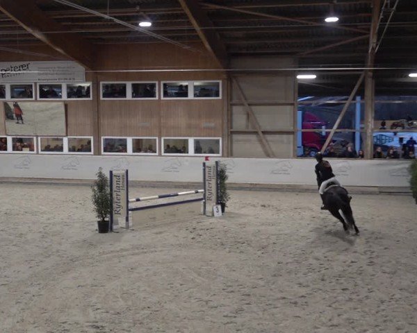 Reitturnier Henau 2024
