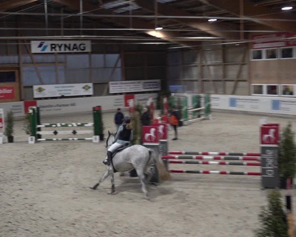Reitturnier Henau 2024