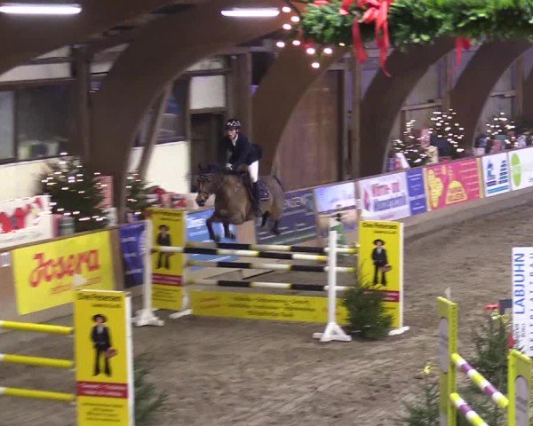 Reitturnier Leck 2024