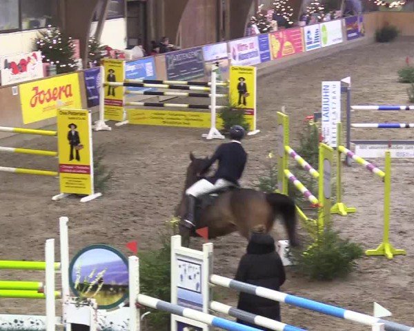 Reitturnier Leck 2024