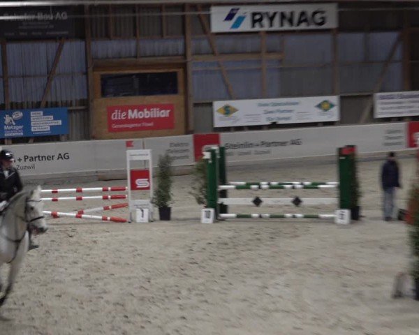 Reitturnier Henau 2024