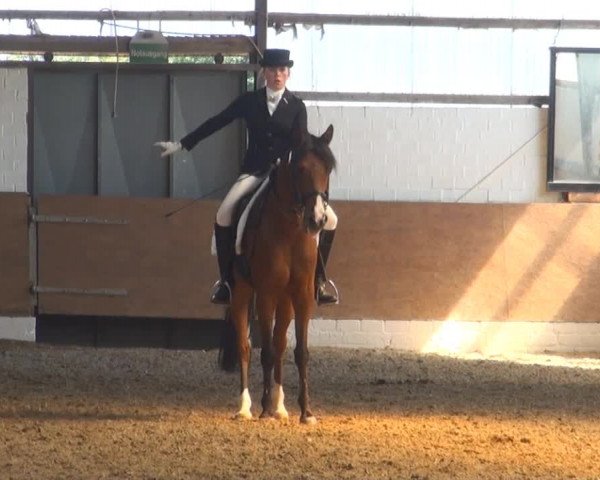 Datteln 2013