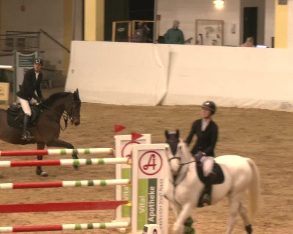 Reitturnier Stadl-Paura 2024
