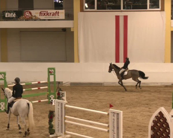 Reitturnier Stadl-Paura 2024