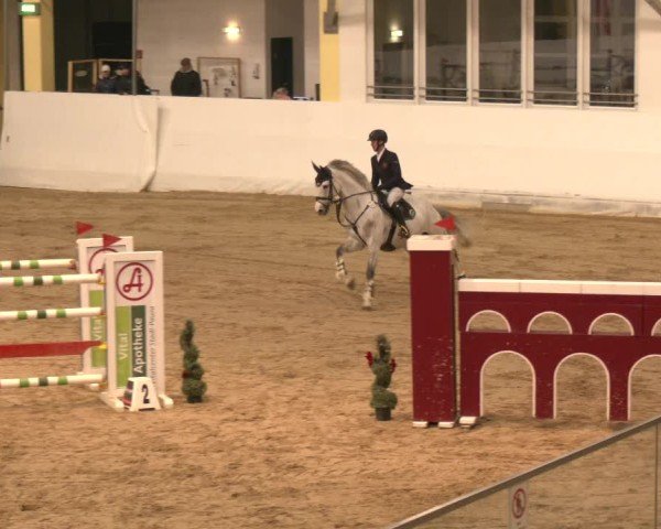 Reitturnier Stadl-Paura 2024