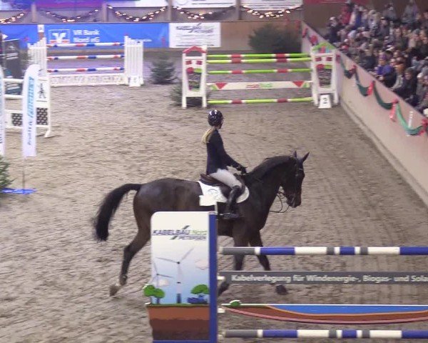Reitturnier Leck 2024