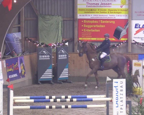 Reitturnier Leck 2024