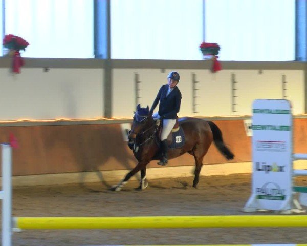 Reitturnier Südlohn-Oeding 2024