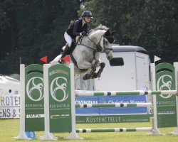 jumper Mychampion (German Warmblood, 2016, from Mytender)