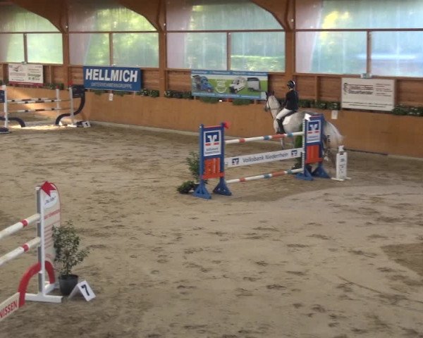 Springturnier Xanten - Reitanlage Miss 2021
