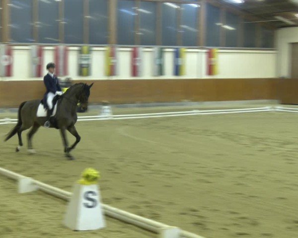 Reitturnier Weikersdorf am Steinfelde 2024