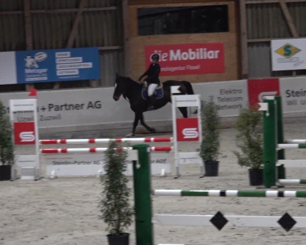 Reitturnier Henau 2024